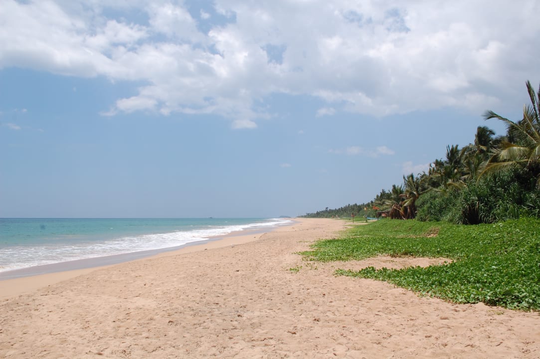 Strand Hotel Bentota Village