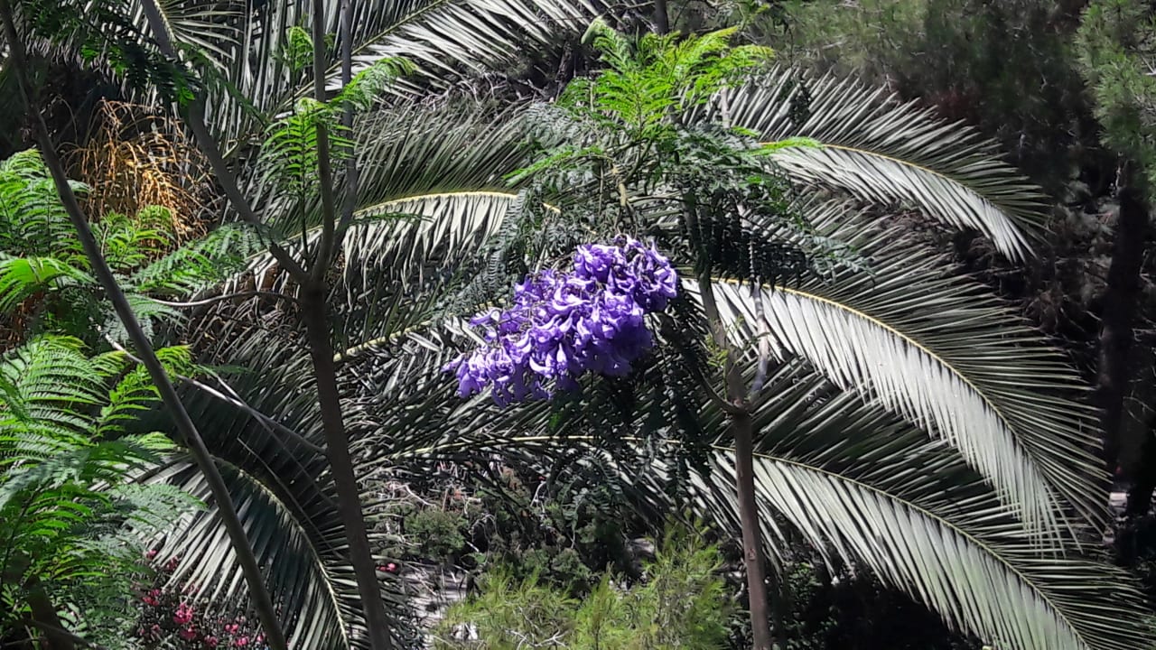 Gartenanlage Güral Premier Belek