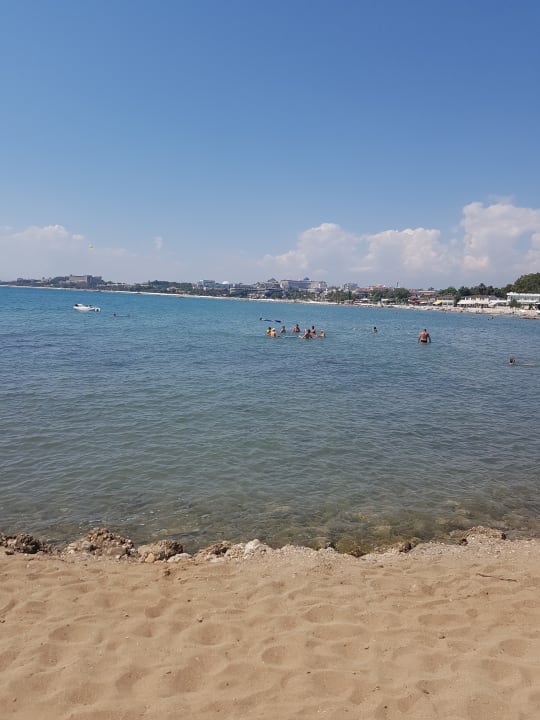 Strand Can Garden Beach