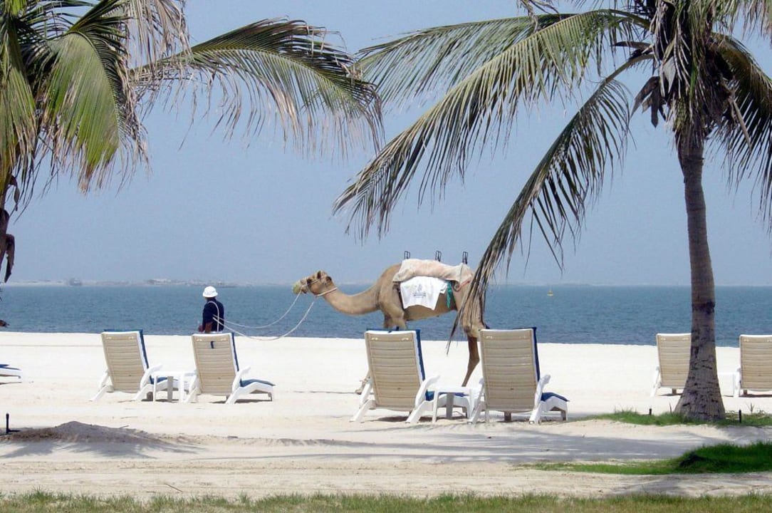 Am Strand JA Beach Hotel