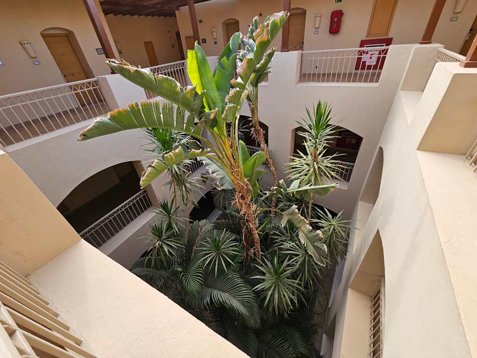 Lobby Hotel JAZ Makadi Star & Spa