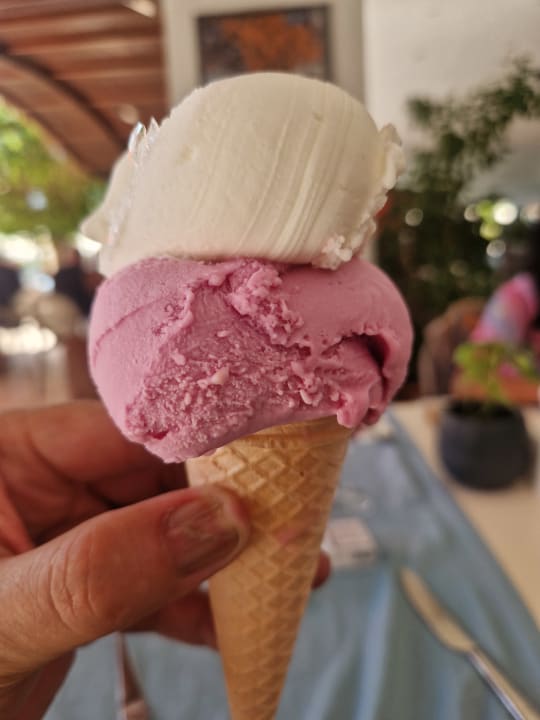 Gastro VONRESORT Golden Coast