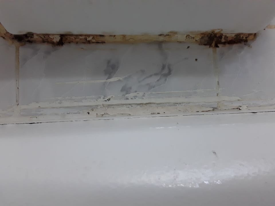 Zimmer Giftun Azur Resort