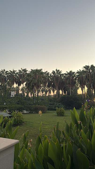 Außenansicht Royal Atlantis Beach Hotel