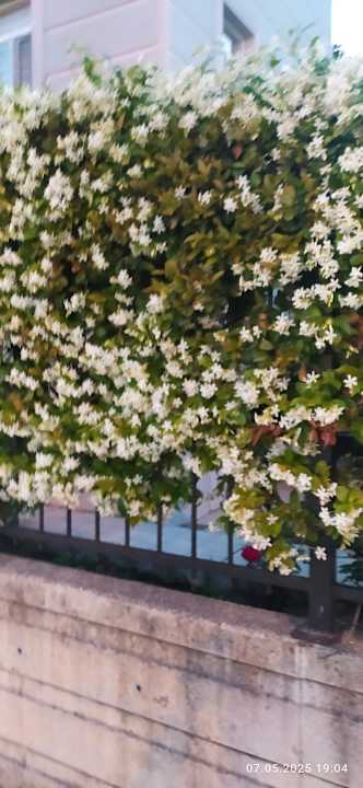 Pool Seaden Sea World Resort & Spa
