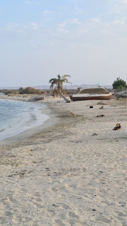 Strand Shams Alam Beach Resort