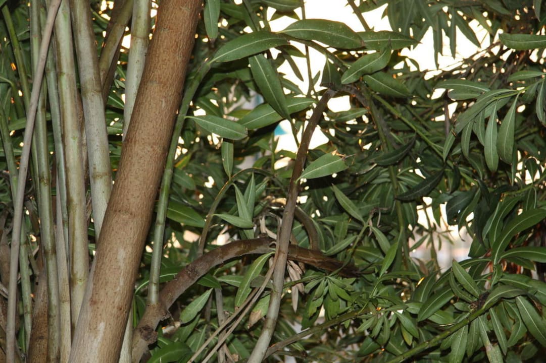 Ein schöner Ausblick Polat Thermal Hotel