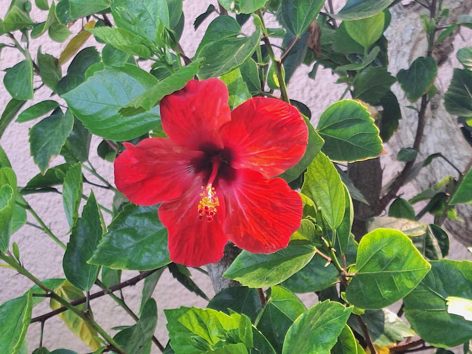 Außenansicht VONRESORT Golden Beach