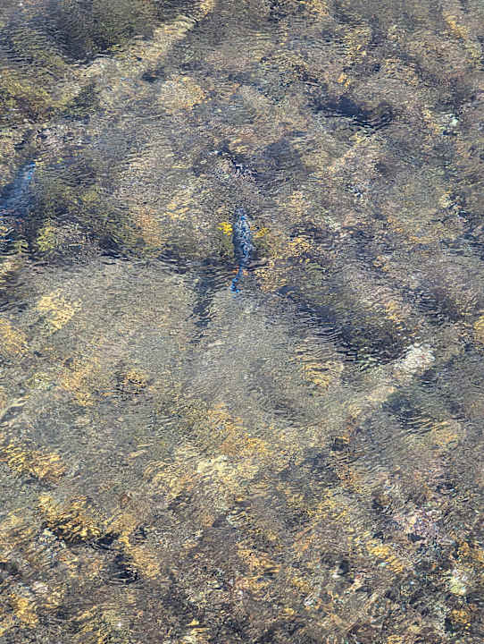 Strand Three Corners Happy Life Beach Resort