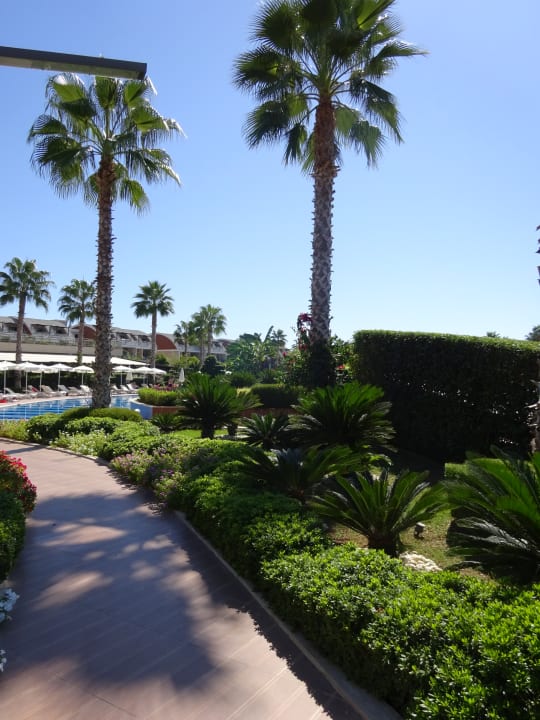 Außenansicht TUI MAGIC LIFE Jacaranda