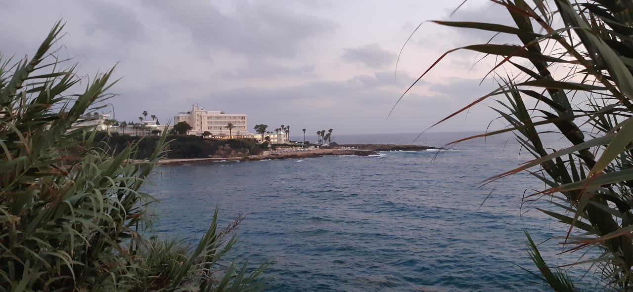 Außenansicht Hotel Cynthiana Beach