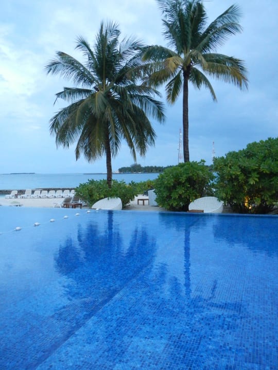 Infinity Pool Kuramathi Maldives