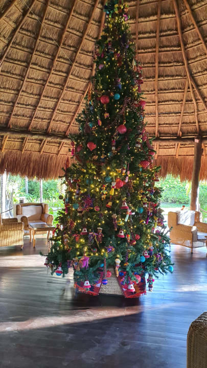 Gartenanlage Akumal Bay Beach & Wellness Resort