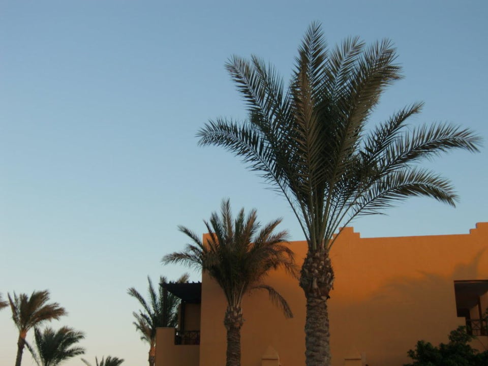 Abendstimmung  Stella Beach Resort & Spa Makadi Bay