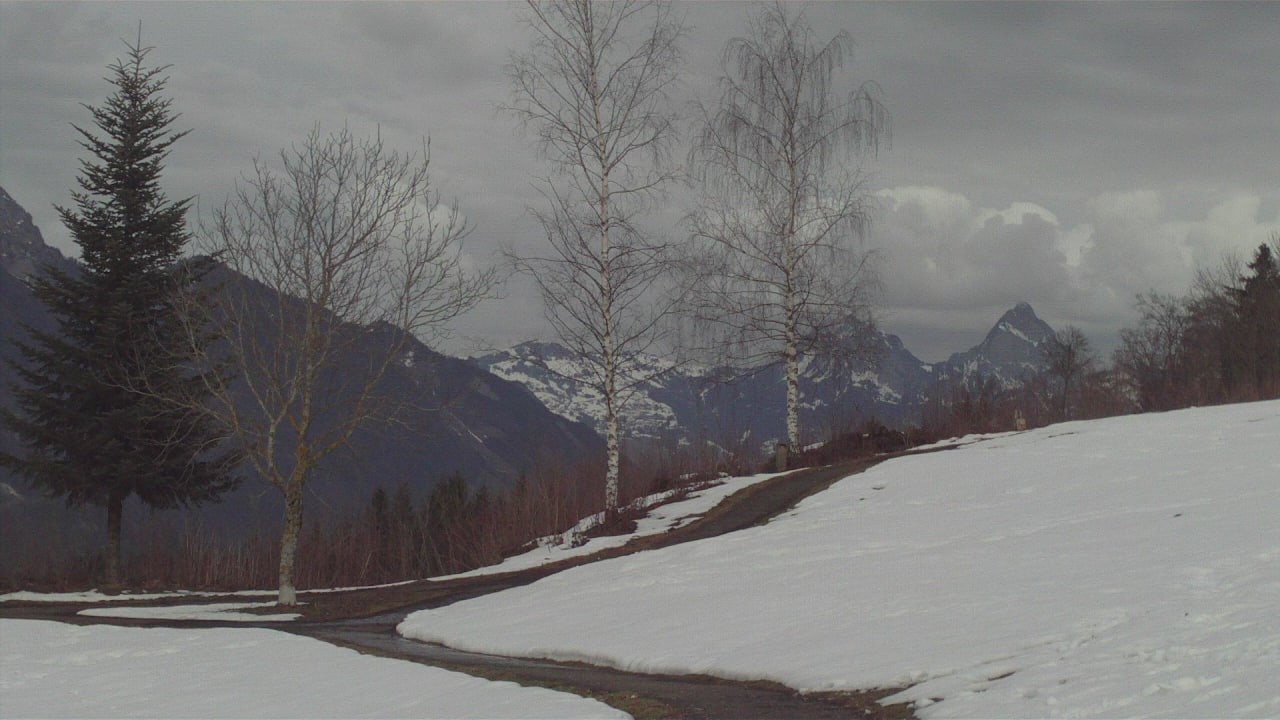 Spazierweg hinter dem Hotel Seeblick Höhenhotel