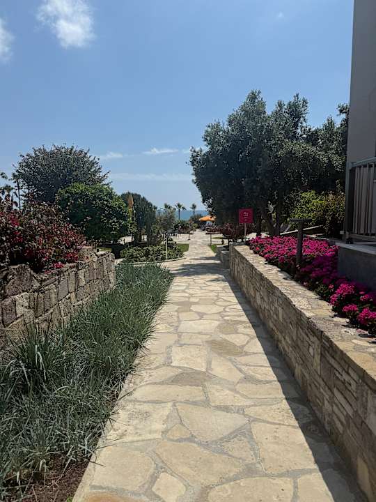 Gartenanlage Arum Barut Collection