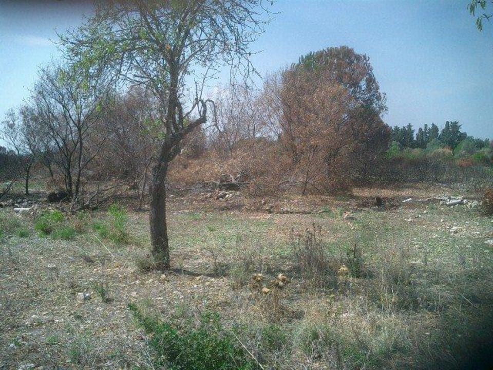 Paradies ist abgebrannt Hotel Il Parco