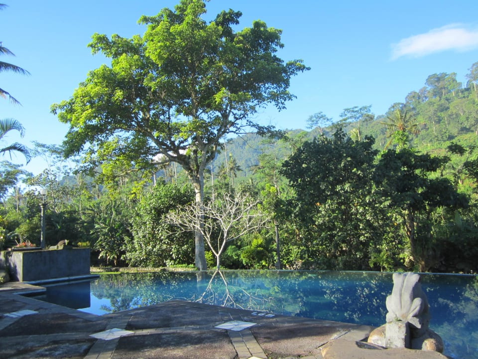 Relativ großer Pool Margo Utomo Agro Resort