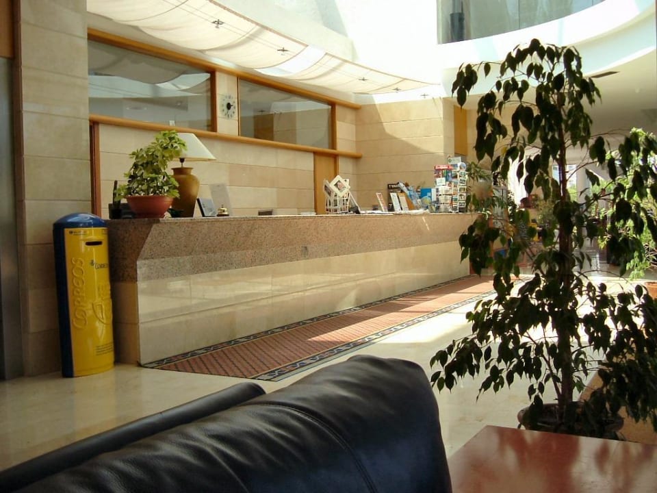 Alzinar Mar Rezeption  Hotel Zafiro Alzinar Mar