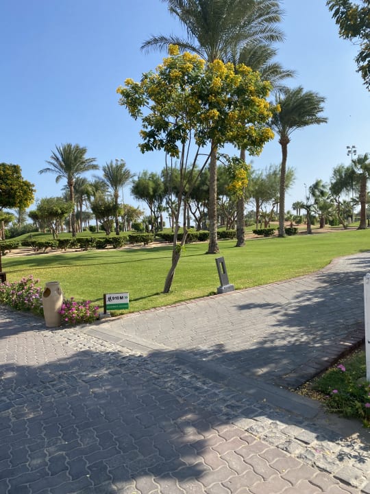 Gartenanlage Steigenberger Aqua Magic