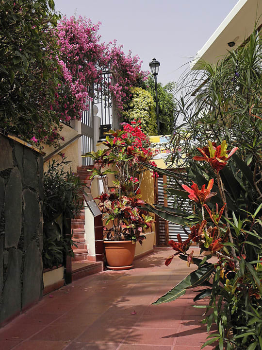 Gartenanlage Apartamentos Nogalera