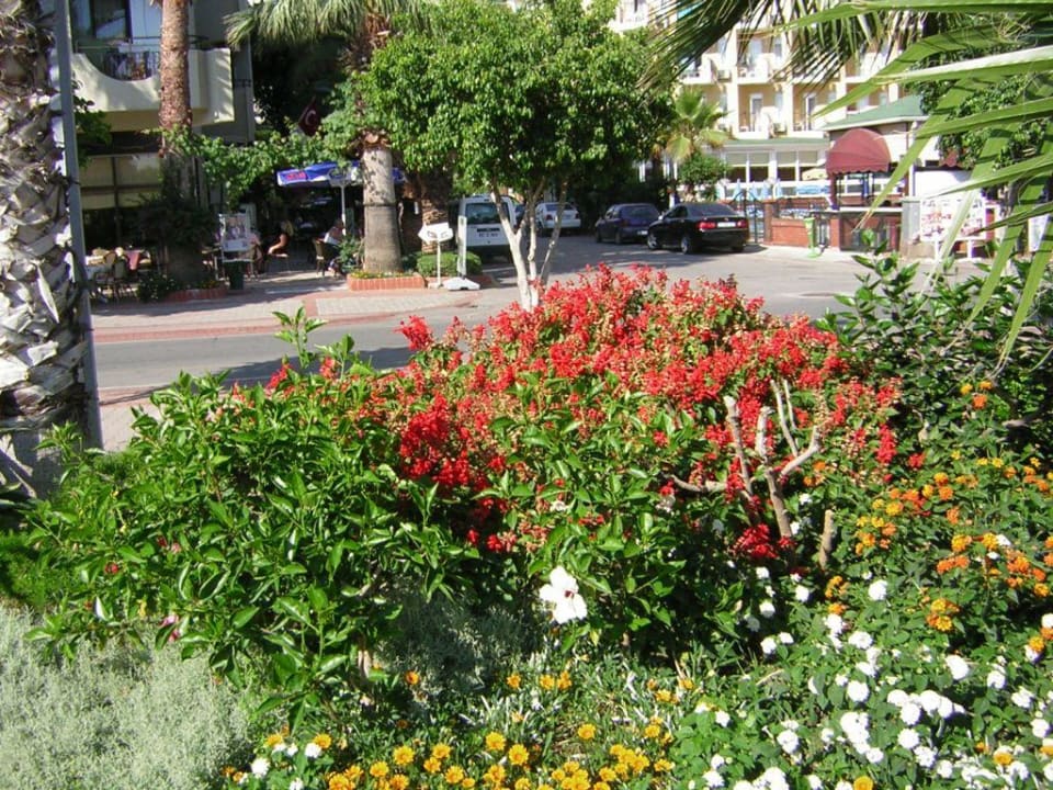 Der schöne Garten Gardenia Hotel