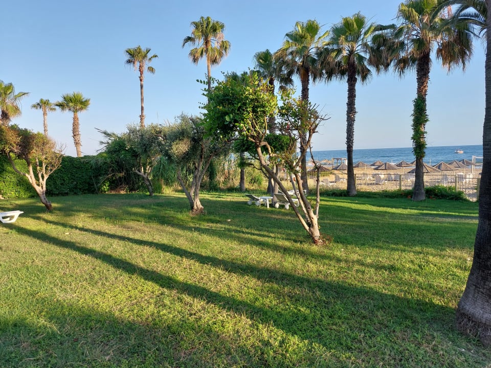 Gartenanlage Hotel Defne Garden