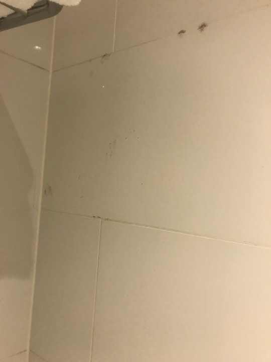 Zimmer Radisson Blu Hotel Frankfurt