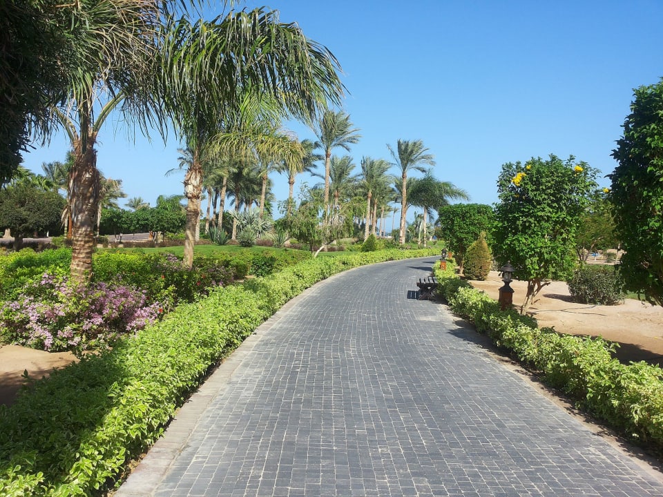 Weg zum Strand Steigenberger ALDAU Beach Hotel