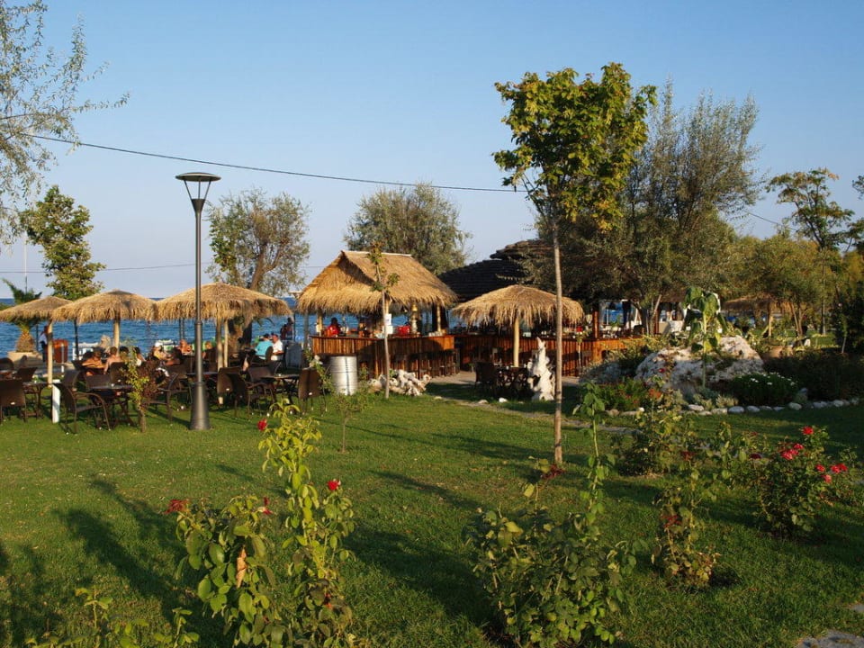 Strandbar alltoura Club Hotel Poseidon Palace