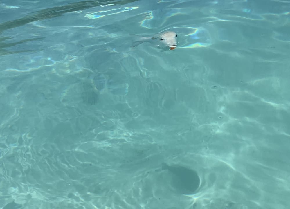 Strand Four Seasons Resort Seychelles