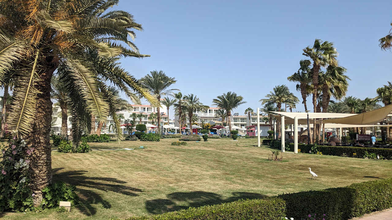 Gartenanlage Amarina Abu Soma Resort & Aquapark