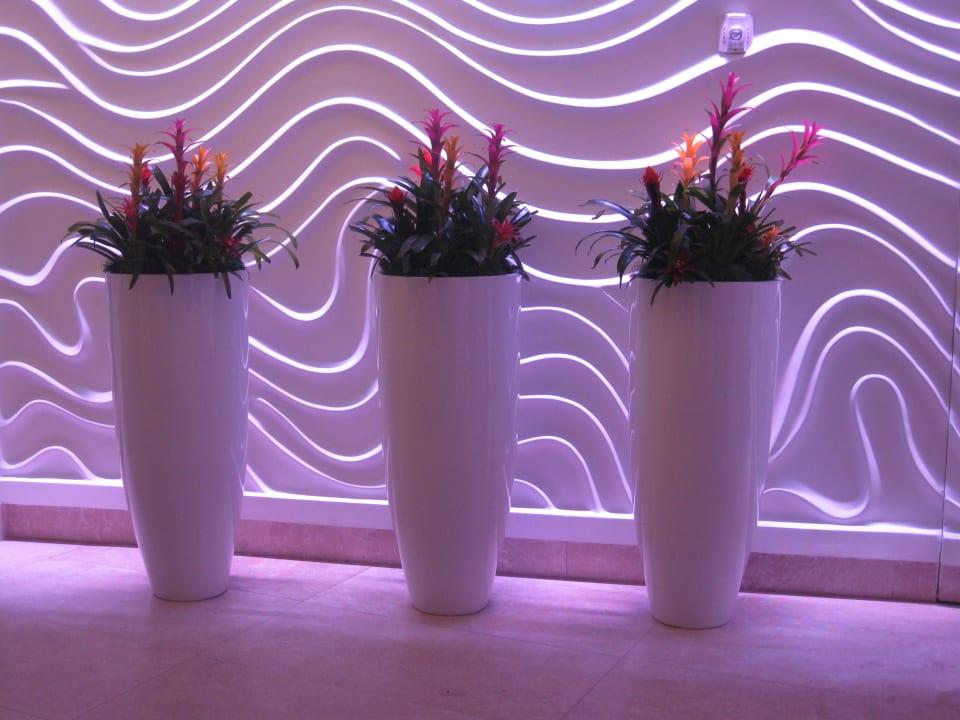 Lobby  Sonesta Fort Lauderdale