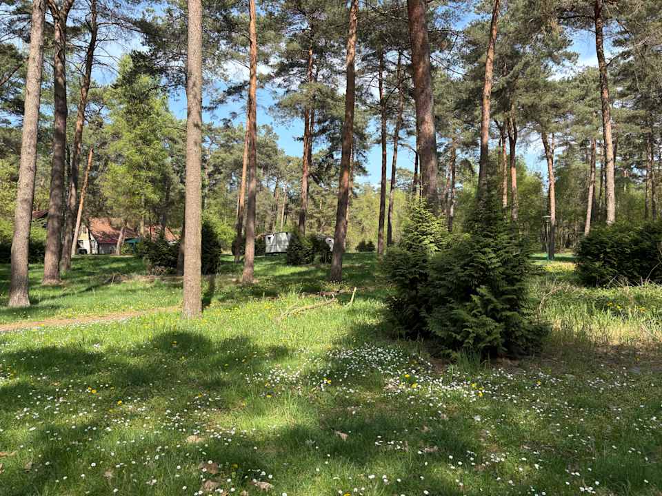 Gartenanlage Vakantiepark Boschbeek