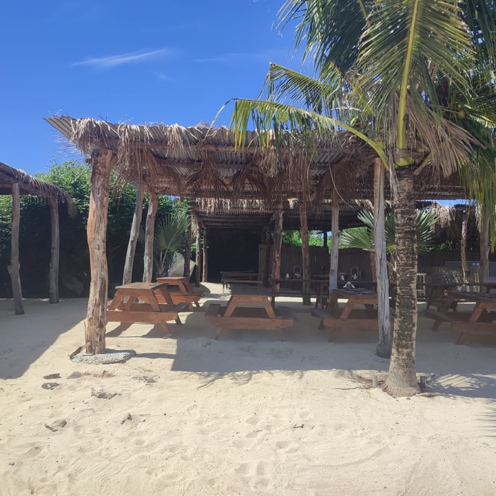 Strand Zilwa Attitude