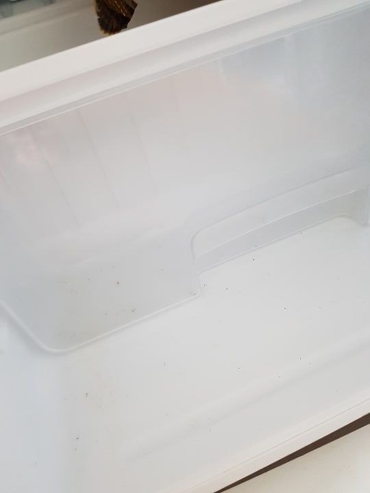 Zimmer Playa Vista Azul