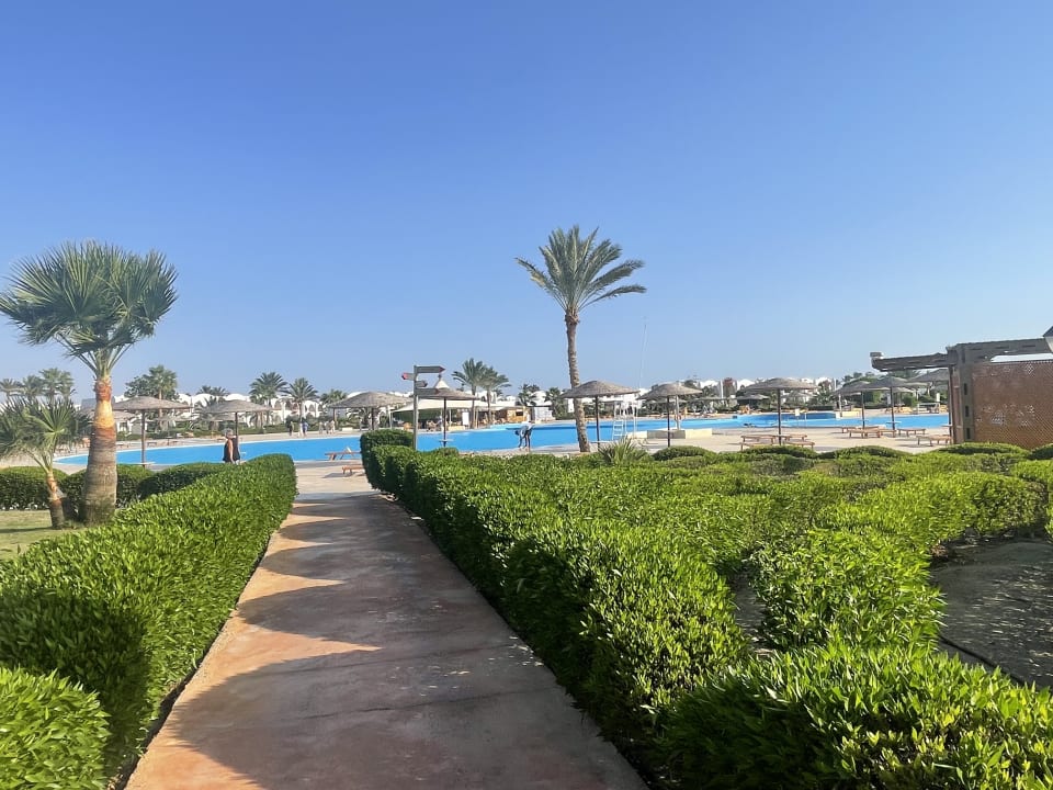 Pool Hotel Gorgonia Beach Resort