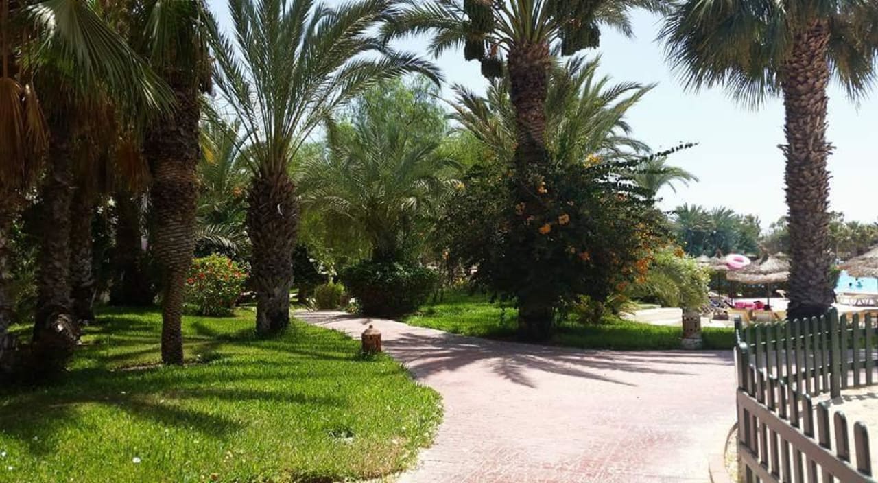 Weg zum Pool / zu den Zimmern  Hotel Djerba Resort