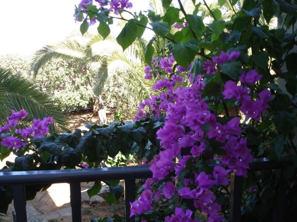 Balcon chambre hotel Hotel Elounda Palm