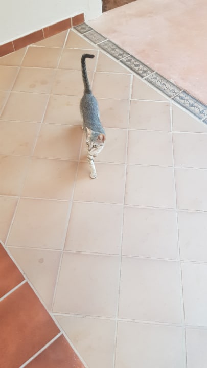 Sonstiges Hotel Riu Touareg