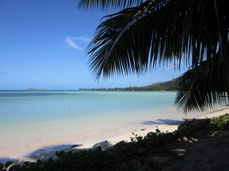 Der eigene Strand Hotel Palm Beach