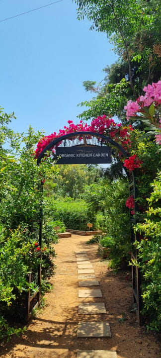 Gartenanlage Phãea Cretan Malia