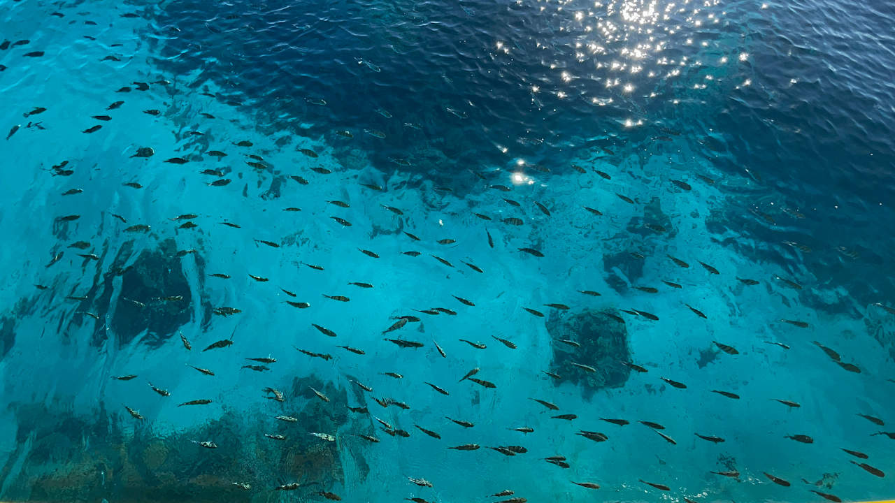 Strand Pickalbatros Aqua Park Resort - Sharm El Sheikh