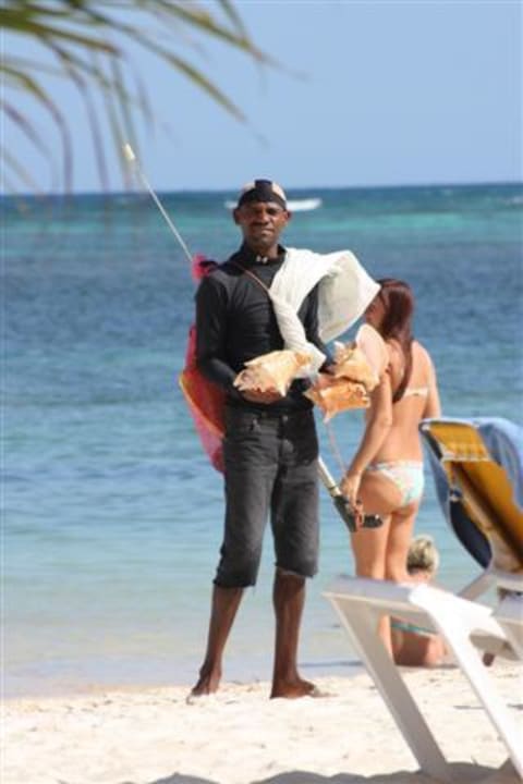 Nicht kaufen - Ausfuhr verboten  Catalonia Punta Cana - All Inclusive