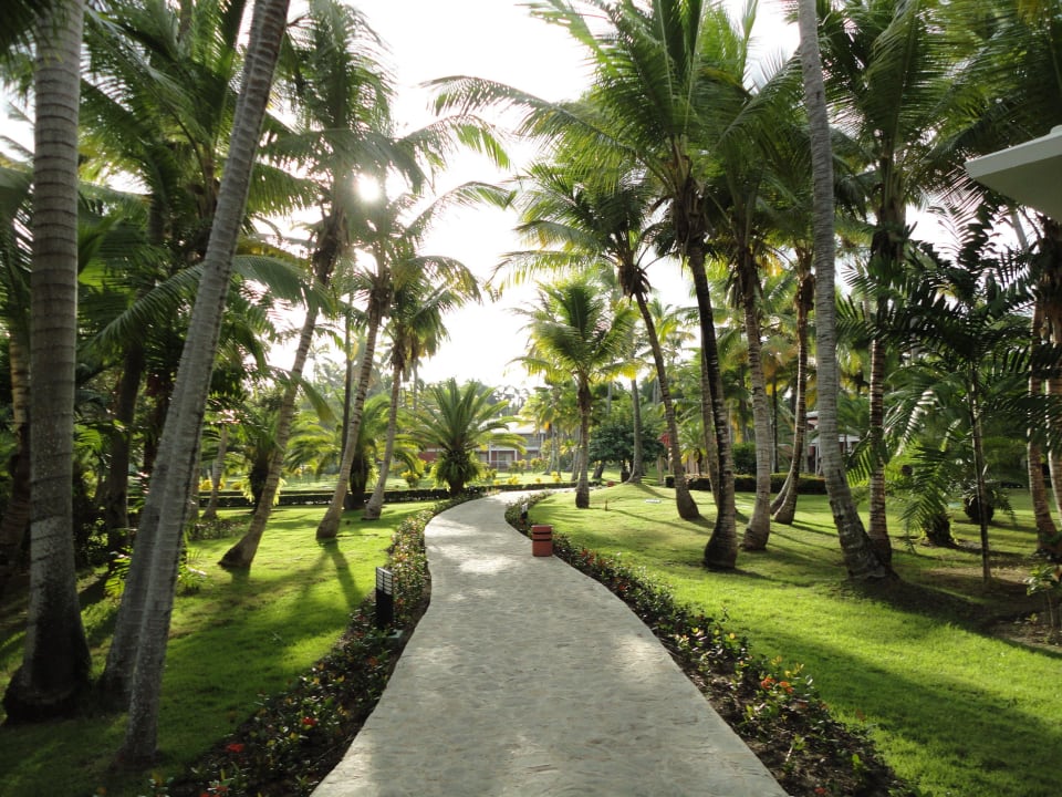 Gepflegete Anlage Grand Palladium Select Bávaro Resort & Spa