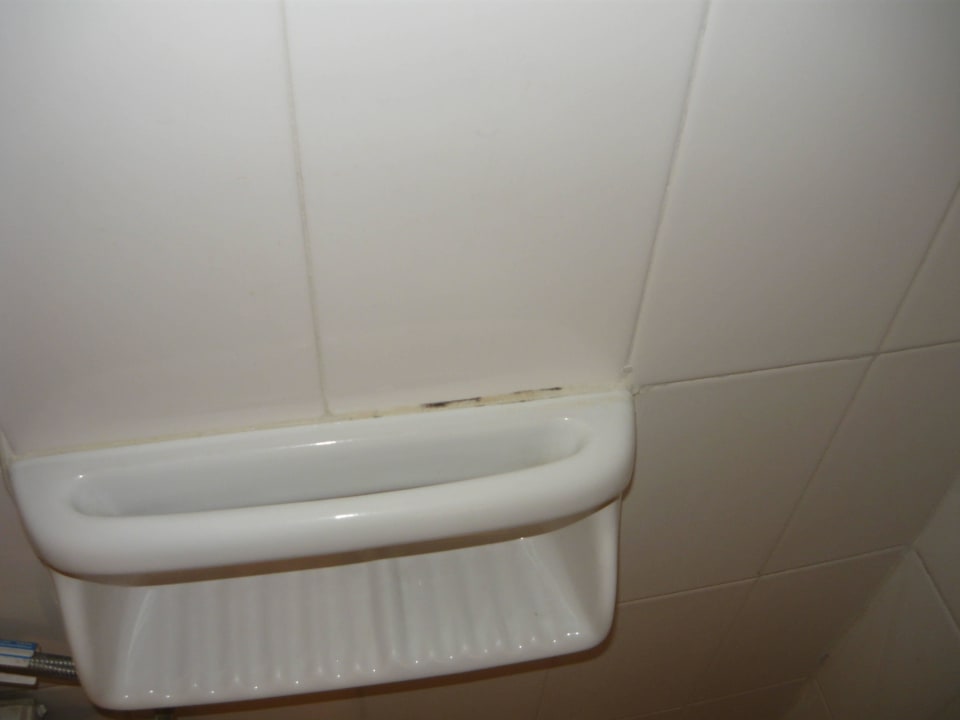 Znowu pleśń. Hotel Astris Sun