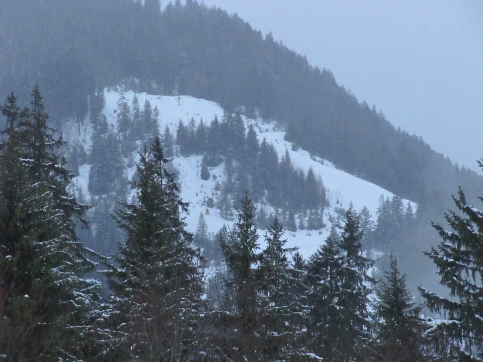 Ausblick Gästehaus Wiesenruh