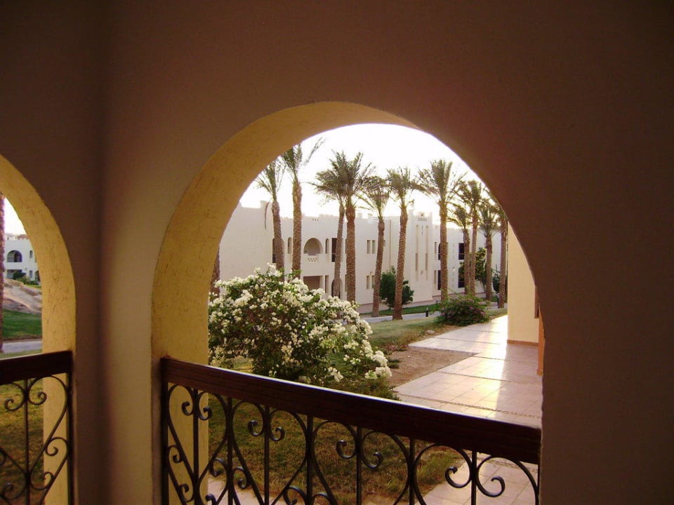 Панорама SUNRISE Royal Makadi Resort