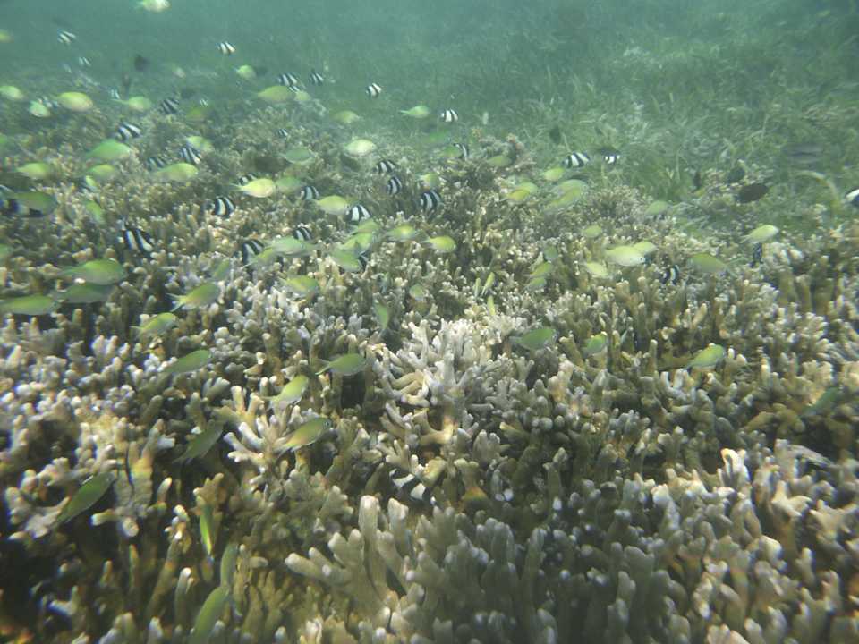 Sonstiges Adaaran Select Hudhuran Fushi - Premium All Inclusive