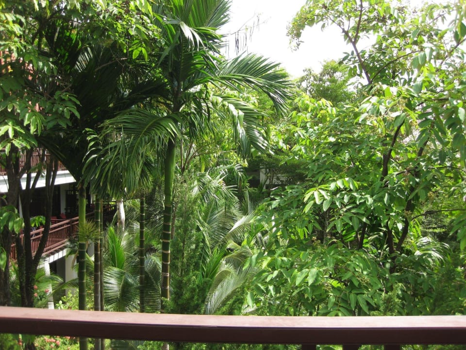 Blick vom Balkon Khaolak Laguna Resort